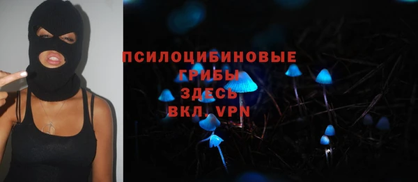 кокс Аркадак