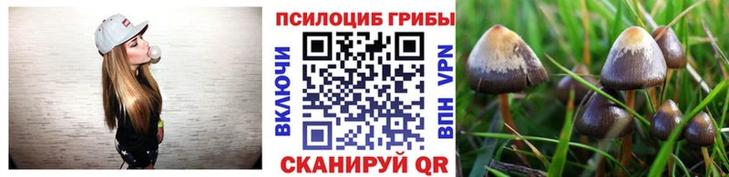 Галлюциногенные грибы Psilocybe  Купить где  Радужный 